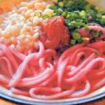 Ume udon noodle is the most popular dish at a local restaurant in Kishu Ishigami Tanabe Bairin Ume Orchard. (in Tanabe-shi, Wakayama Prefecture)