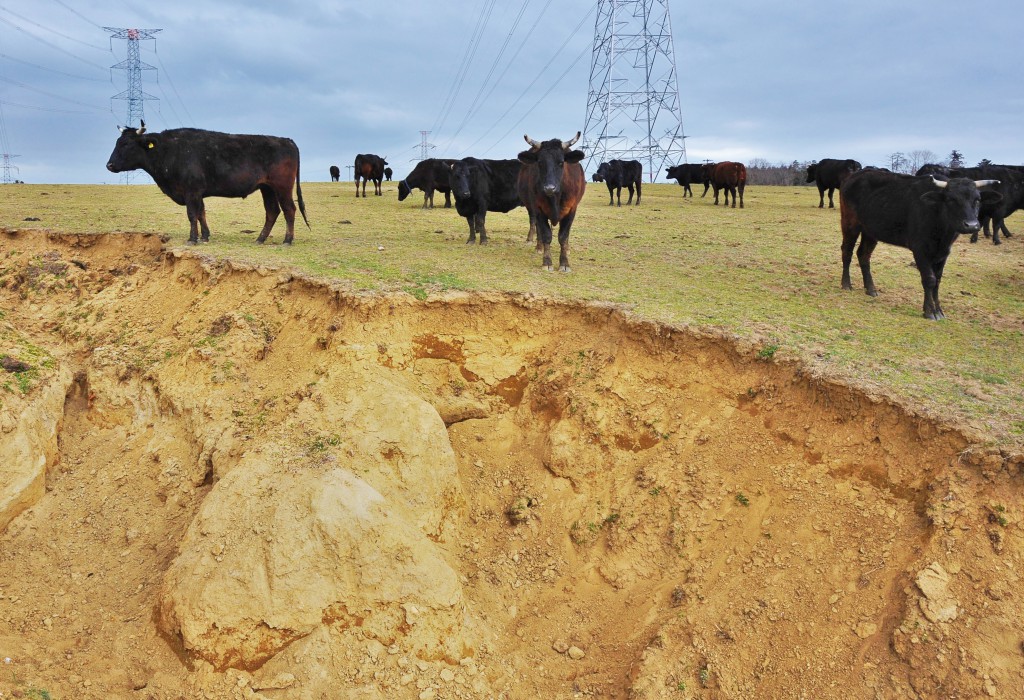 Giant crack caused by Great East Japan Earthquake left in Kibo no Bokujo farm (in Namie-cho, Fukushima Prefecture)