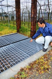 Gratings have effectively prevented wild boars from entering orchards. (Kamiita-cho, Tokushima prefecture)