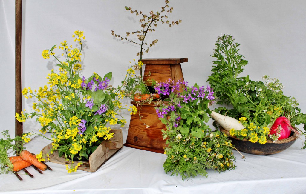 Flowers in bloom Containers and tools: fork hoe, carrying box, stepstool and mixing bowl Vegetables and plants: komatsuna, Japanese radish, sweet rockets, dandelion, hakusai, blueberry and carrots