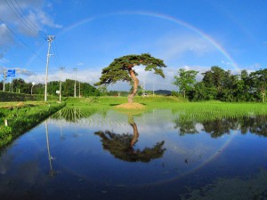 “Circled by a rainbow” Saiko Tateshita, Oshu-shi, Iwate Prefecture