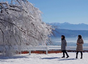 “Frost Flowers” Tetsuo Morozumi, Chino-shi, Nagano Prefecture