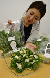 Retailers say one of the great ways to eat kale is to eat it raw in a salad (in Shinagawa-ku, Tokyo)