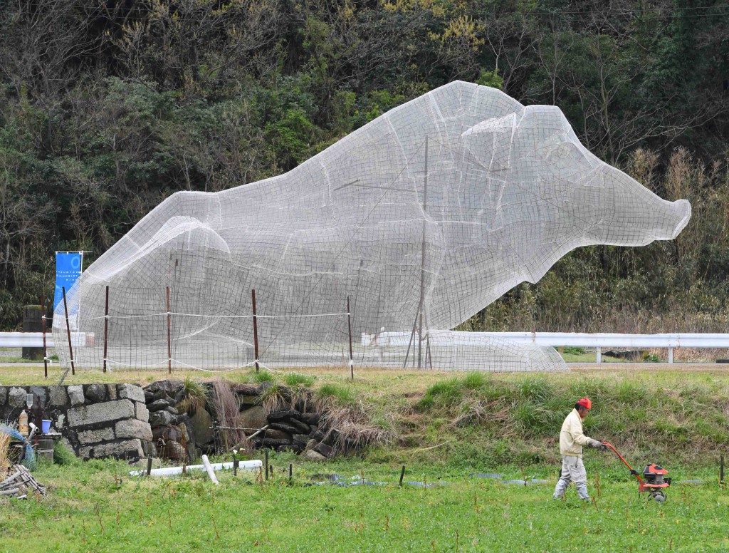 Giant structure of wild boar sits next to vegetable farm (Shodoshima-cho, Kagawa Prefecture)