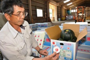 Toshio Nakamura, president of “Edosaki-pumpkin” producers’ organization of JA Inashiki, is putting a GI label on the package. (Inashiki-shi, Ibaraki prefecture)