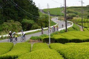 Riders across Japan and also from Taiwan participated in one organized event held in Omaezaki-shi, Shizuoka Prefecture