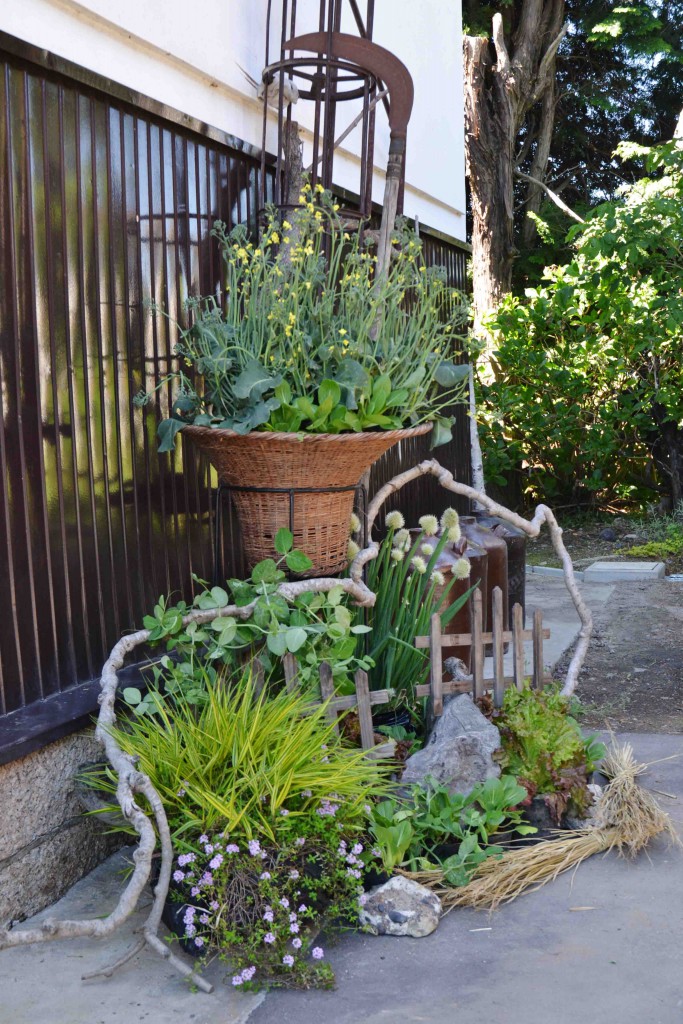 From spring to early summer: changing of seasons in highland Containers and tools: wooden frame (rice paddy marker), long grass sickle, driftwood, gardening fence, etc.  Vegetables and plants: red-leaf lettuce, small pak-choi, spring onions, garden peas, etc.