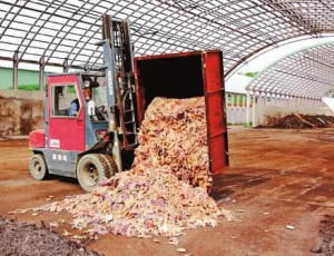 Plenty of starfish are being delivered to the compost center of JA Tsubetsu. (Tsubetsu-cho, Hokkaido) 