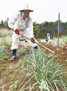 Nobuaki Hayashi is engaged in farm works which have favorably supported his mental life since he was evacuated to a neighboring island. (Yaku-shima island, Kagoshima prefecture)