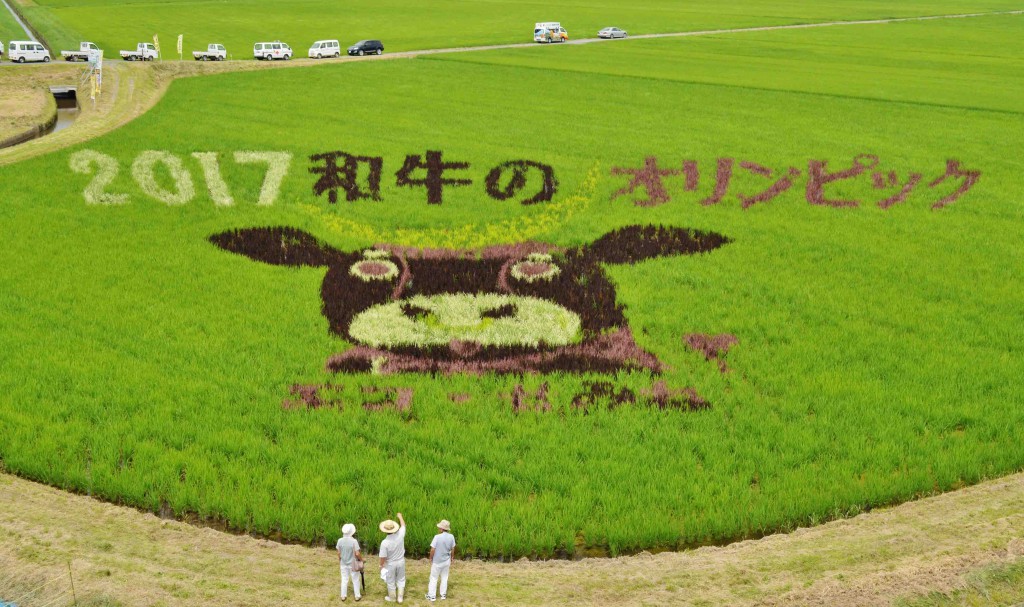 Ushi Masamune, a mascot character for the 2017 National Competitive Exhibition of Wagyu, is seen as rice paddy art in Kurihara, Miyagi Prefecture, on Sunday, July 16.