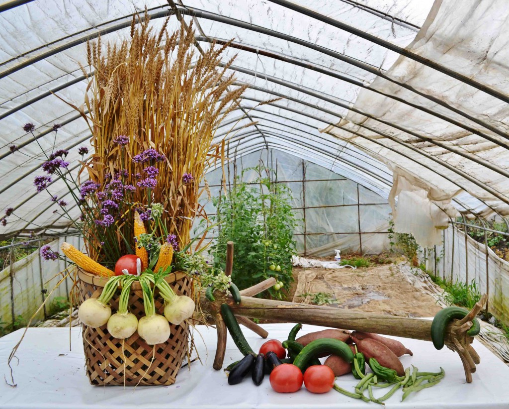 Containers and tools: a bamboo basket and a wooden bar for washing potatoes, etc.  Materials: tomatoes, cucumbers, eggplants, tunips, corn, sweet potatoes, sugar peas, wheat, Asiatic dayflowers, etc.