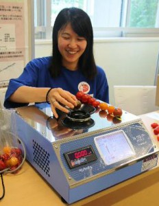 Lycopene and sugar contents of a cherry tomato are measured in a few seconds with a newly developed system by Meiji University and KUBOTA Corporation. (Kawasaki-shi, Kanagawa prefecture)