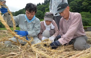 Veteran farmers instructing young farmers how to build traditional boats using reed and rice straws in morning of festival day