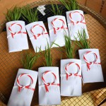 Seedlings prepared for rituals