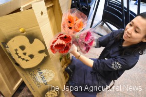 "Halloween Mix" gerbera daisies from JA Hainan (in Chuo ward, Tokyo)