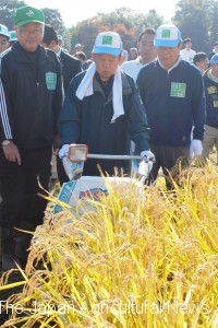 LDP Secretary-General Toshihiro Nikai (center) experiences rice harvesting with a binder in Ome, Tokyo, on Nov. 4.