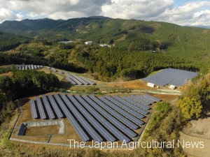 Solar panels of Odawara mega solar citizen power plant on a hill (provided by Hotoku energy Co., Ltd. in Odawara city, Kanagawa Prefecture)