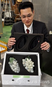 A new packaging box for grapes has cushioning measures against the impact during transport.