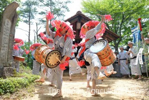 Villagers with large drums dancing in dedication to the god of Mihoryo Shrine