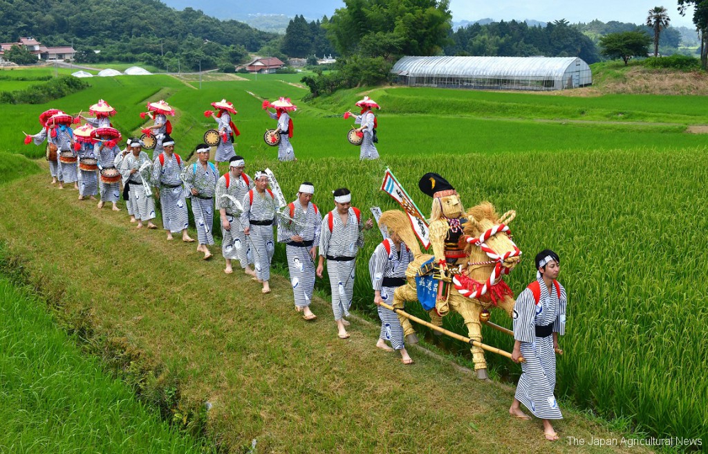 “Kanekobara no Mushi-okuri Odori” dancers walking along rice fields in line