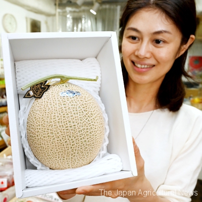 A crown melon from Shizuoka Prefecture is one of the most popular prizes. (In Taito Ward, Tokyo)