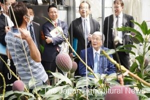 Farm minister Tetsuro Nomura (front right) receives explanations on mango farming in the city of Miyazaki on March 18.