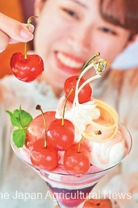  Parfait using Yamagata Benio, a new large-size cherry variety with high sugar content, offered at Shiseido Parlour in Tokyo’s Ginza district in limited quantity