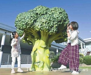 A giant “Broccoli” has become a famous photo spot. (In Kobe City, Hyogo Prefecture)