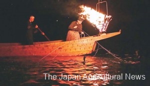 The traditional ukai cormorant fishing is conducted on the Nagara River in the city of Gifu.