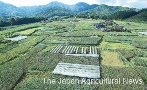 An alluvial fan in the city of Yamanashi where a variety of fruit trees are cultivated