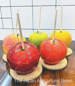 A colorful set of candy apples using five different apple varieties
