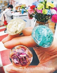Accessories with locally-grown carnations have become popular regional products (in Omura City, Nagasaki Prefecture).