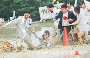 Couples in their wedding attire enjoyed a mud run hand in hand in the rice field after the wedding ceremony (in Takasaki City, Gunma Prefecture)