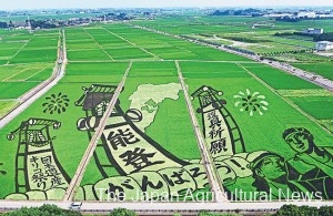  A rice paddy art in Gyoda, Saitama Prefecture, featuring the Kiriko Festival of the Noto region of Ishikawa Prefecture