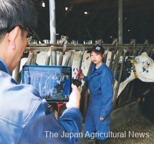  An official of NOSAI Hokkaido holds a tablet at a farm in Ebetsu, Hokkaido, to explain the conditions of dairy cows to a veterinarian via a video call.