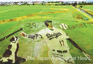  Rice paddy art of Shohei Ohtani and his dog Dekopin is shown in Oshu, Iwate Prefecture. PHOTO COURTESY OF JA IWATE FURUSATO