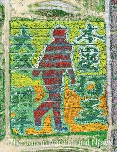 A flower art depicting Shohei Ohtani with 30,000 plants