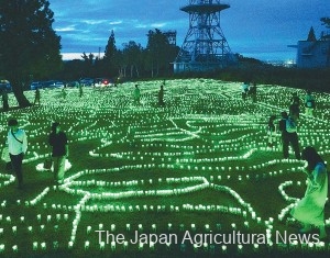 Illumination was designed to recreate the image of the event in Shiroyone Senmaida, Wajima, Ishikawa Prefecture. It is presented as a ray of hope for early recovery. (Ojiya City, Niigata Prefecture)