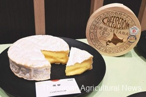 Setana of CHEESEDOM, which won a Super Gold at the World Cheese Awards, is shown in Tokyo’s Chuo Ward on Nov. 19.