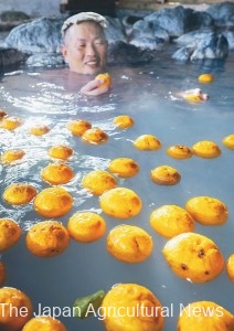 A spa visitor enjoying yuzu bathing using locally-grown yuzu (in Ogose Town, Saitama Prefecture)