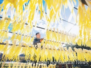 Yellow garlic chives are hung to dry in the sun in the city of Okayama before being washed and shipped to markets.