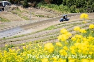 Farmers are preparing for the rice planting season at the water-filled rice paddies. (Ozu City, Ehime Prefecture)