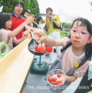 Children enjoy catching cherries flowing down a stream of water during a festival held in the city of Yamagata on June 6.