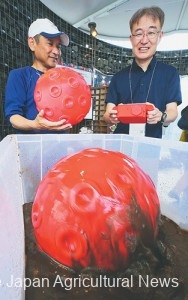 A spherical weeding robot, showcased at the 2025 Osaka-Kansai Expo, began rolling swiftly. Professor Junichiro Yuji of the Kumamoto National College of Technology (right) operated the robot as Professor Matsuzoe (left) observed. (In Osaka City, Osaka Prefecture).