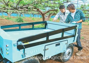 Pear orchard farmer Yoichi Ishii (right) asks a Kisui Tech official about Adam’s functions in Ichikawa, Chiba Prefecture.