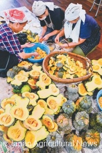 Shishigatani Squashes, cut in half, were waiting for the next step in the process. (in Kyoto City, Kyoto Prefecture)