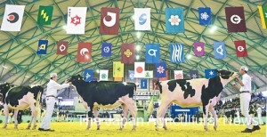 Approximately 400 winners of preliminary rounds nationwide gathered in Hokkaido. (On October 25 in Abira Town, Hokkaido)