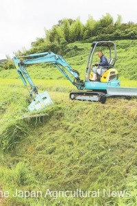 An excavator equipped with a mower, used in Yasugi, Shimane Prefecture, allows weeding of steep rice terraces without the risk of slipping down.