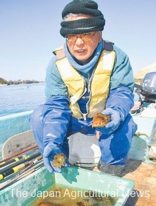 Hayashi is a fruit farmer who also makes his living from sea cucumber fishing. (In Higashi Matsushima City, Miyagi Prefecture)