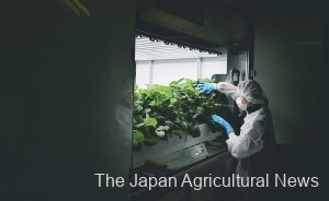 A fully-enclosed plant factory in Kawasaki, Kanagawa Prefecture, developed by PLANTX, offers a completely-controlled environment to achieve energy-saving cultivation of agricultural products.